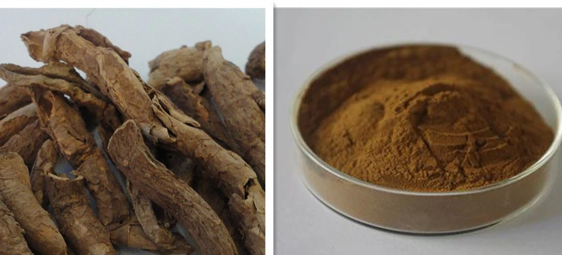 Acanthopanax extract